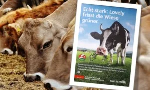 Werbung_300_200 (1)