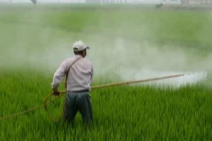 reis_herbicide_300_200